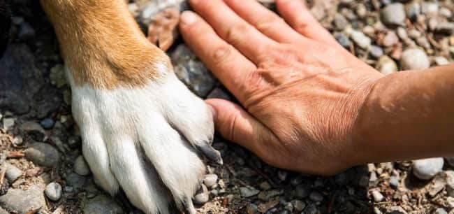 Intimacy, connection, communication, and sex are the very core of the human experience.